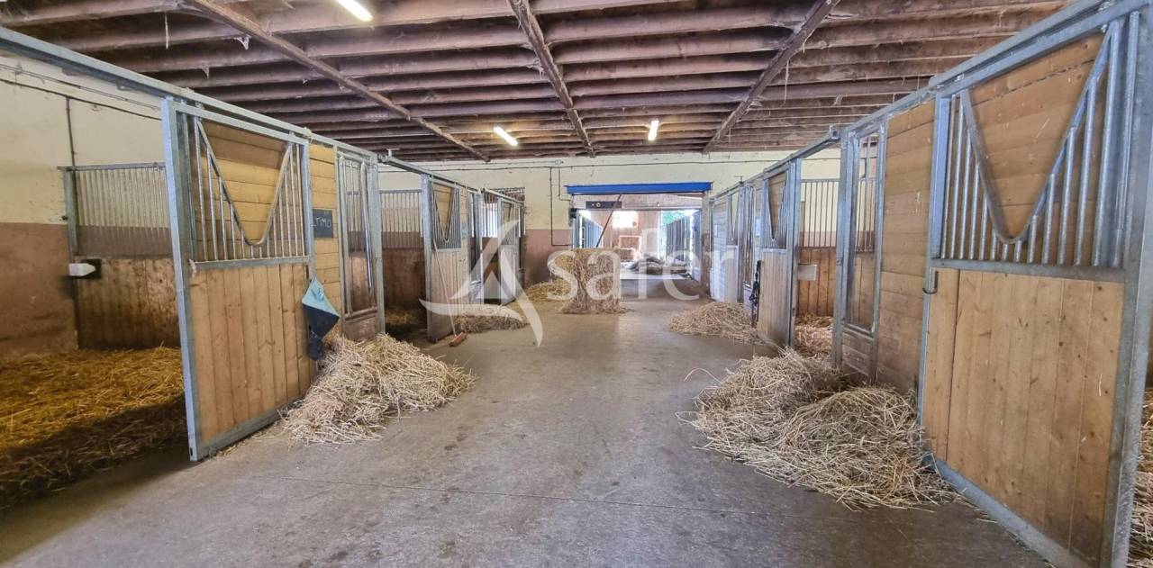 Propri&eacute;t&eacute; &eacute;questre de 6ha50 en Aveyron