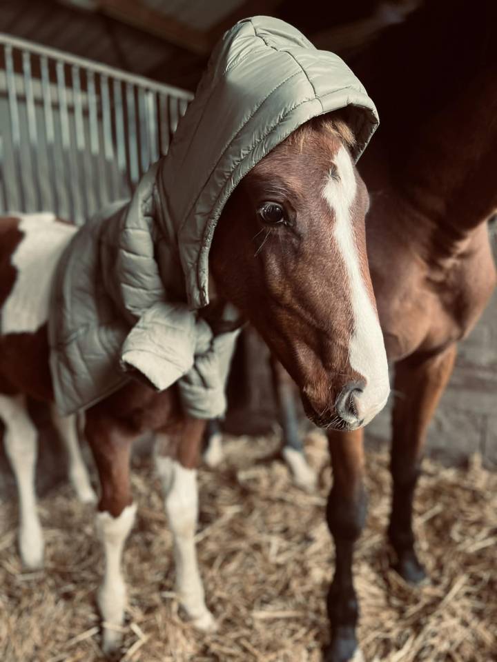 ✨ Disponible &ndash; Tip-Top de Lady J 2025 ✨