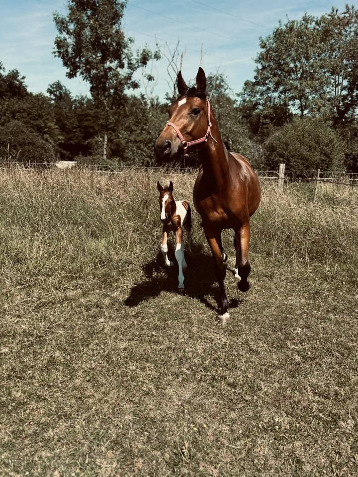 ✨ Disponible &ndash; Tip-Top de Lady J 2025 ✨