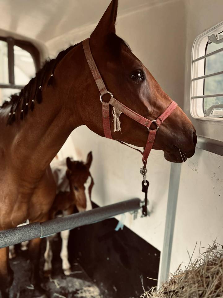 ✨ Disponible &ndash; Tip-Top de Lady J 2025 ✨