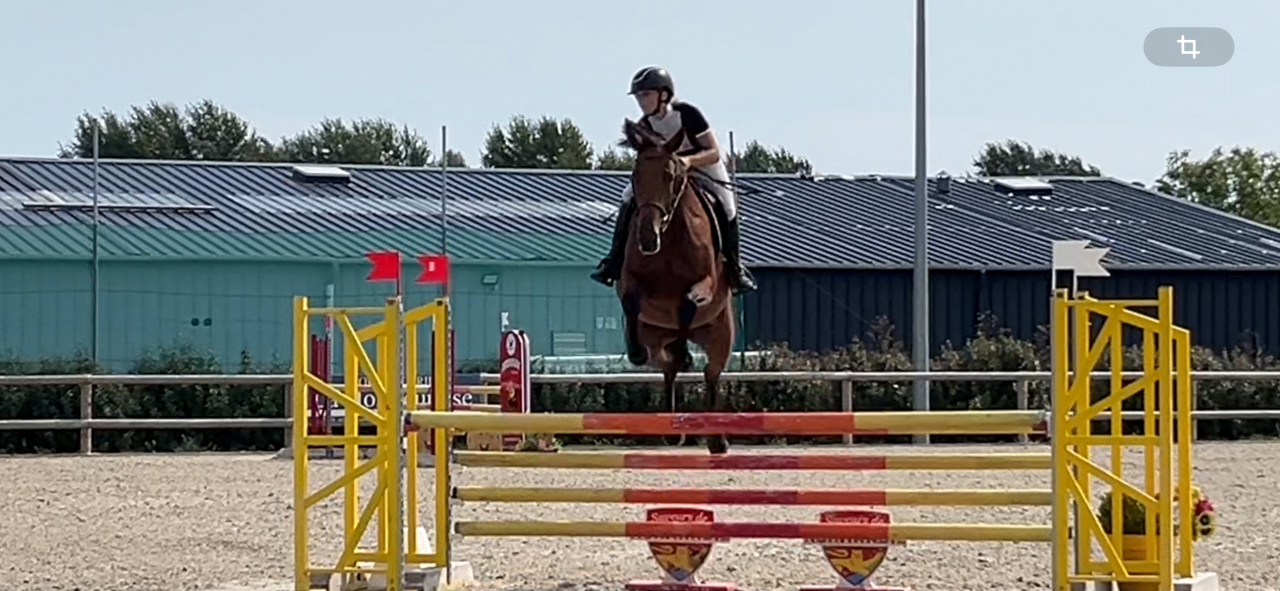 poste stagiaire cavalier galop 7