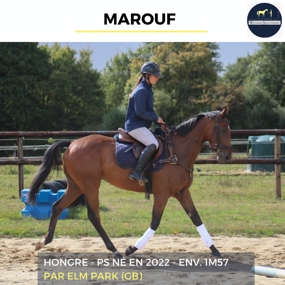 MAROUF - PS - 3 ANS