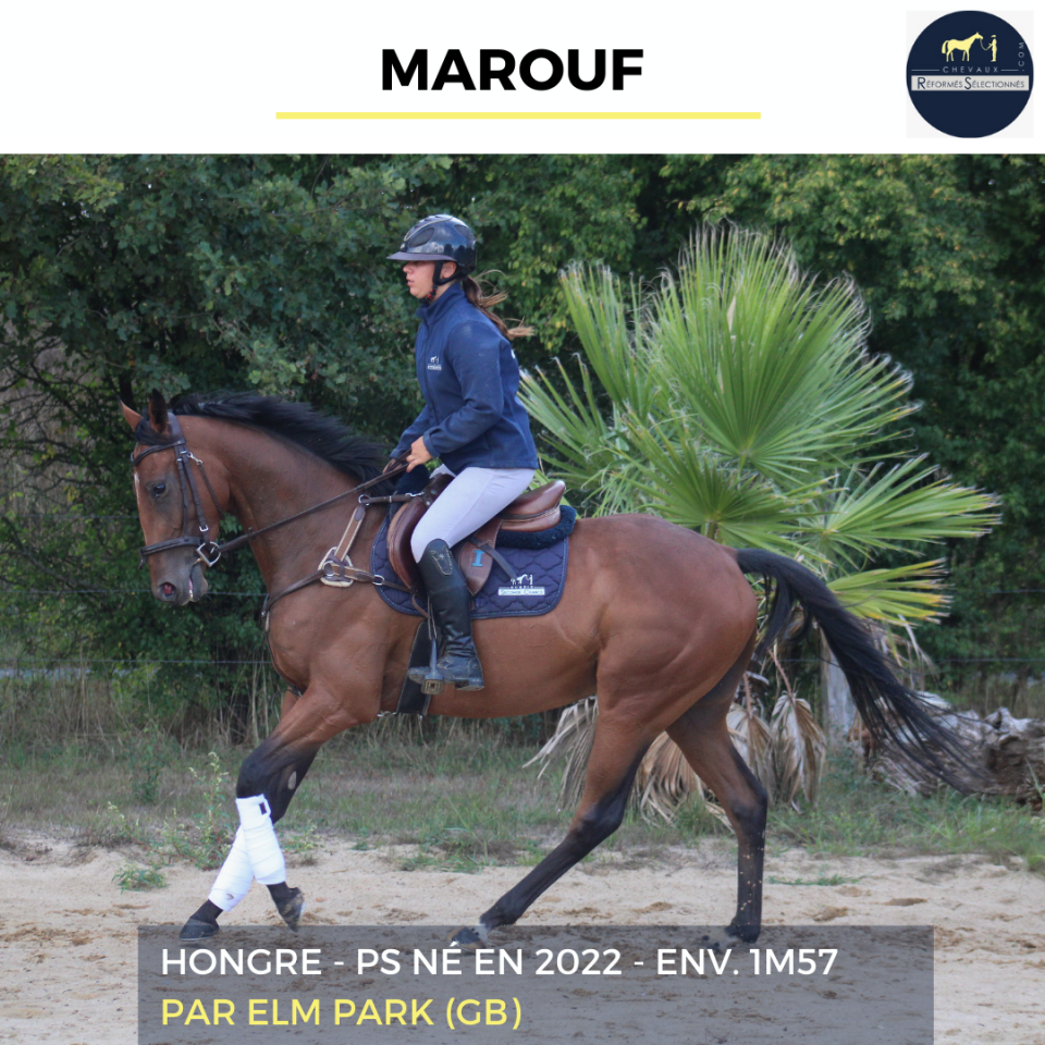 MAROUF - PS - 3 ANS