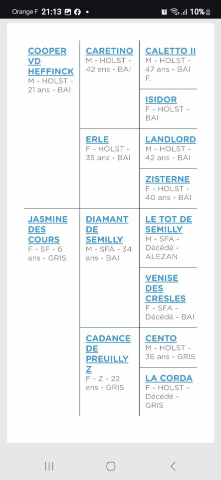 Jument Selle Français par Cooper- Diamant 