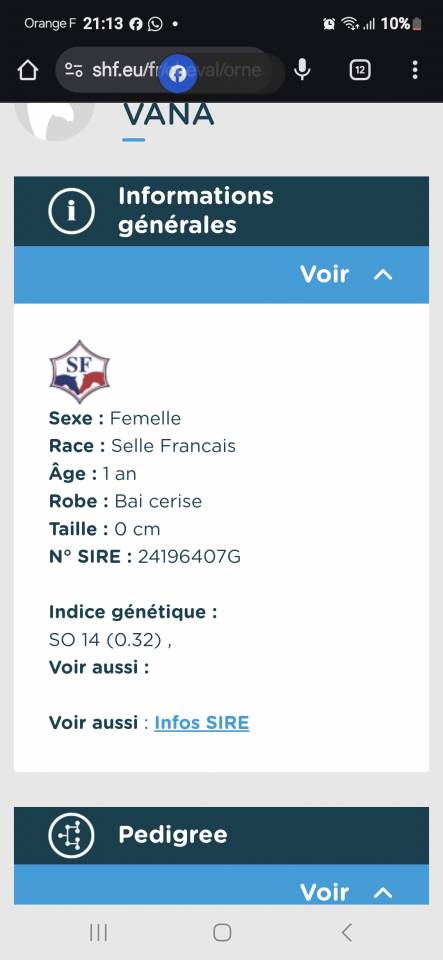 Jument Selle Français par Cooper- Diamant 