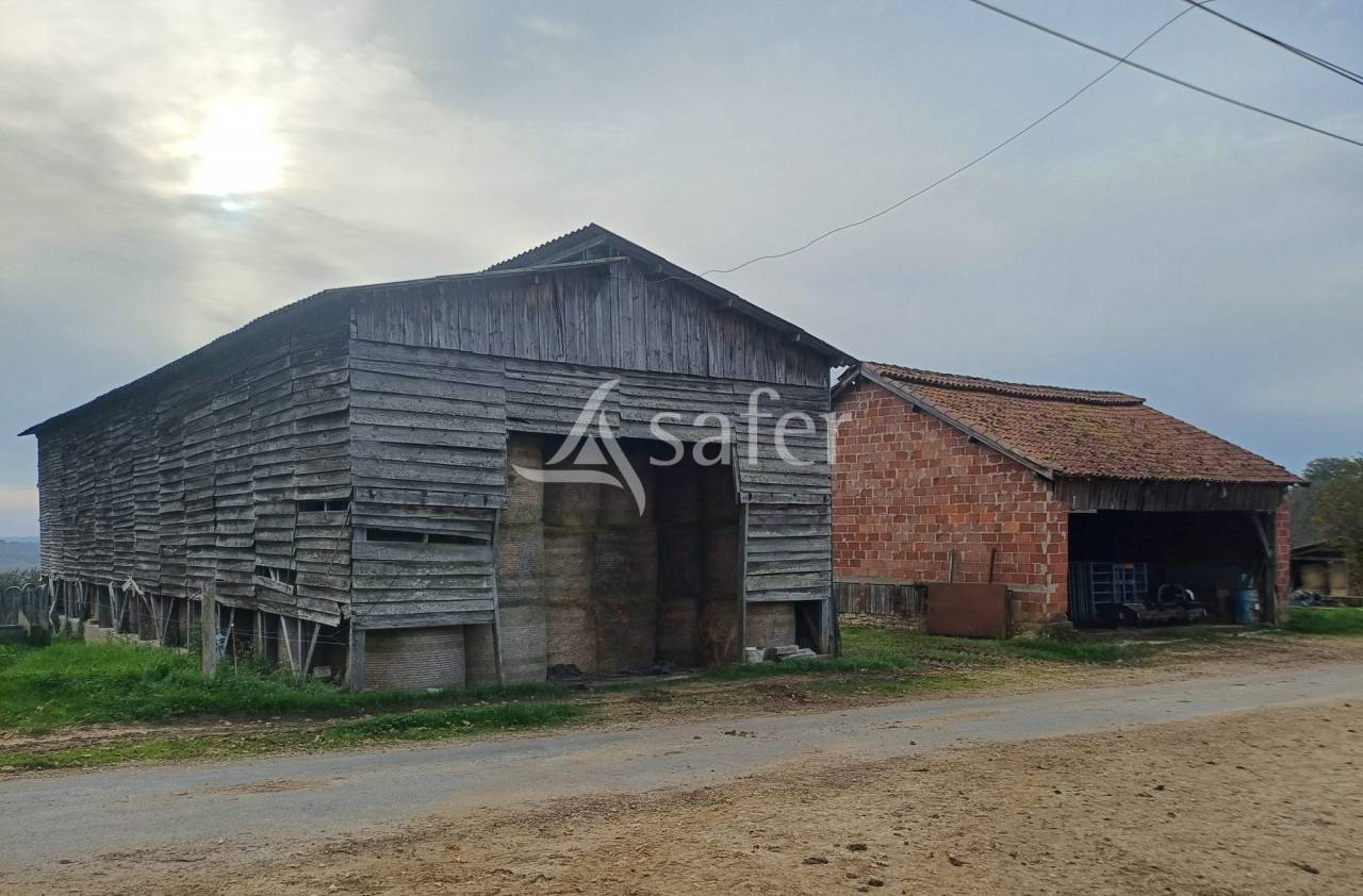 Exploitation d'&eacute;levage avec irrigation sur 75ha en vente et loc