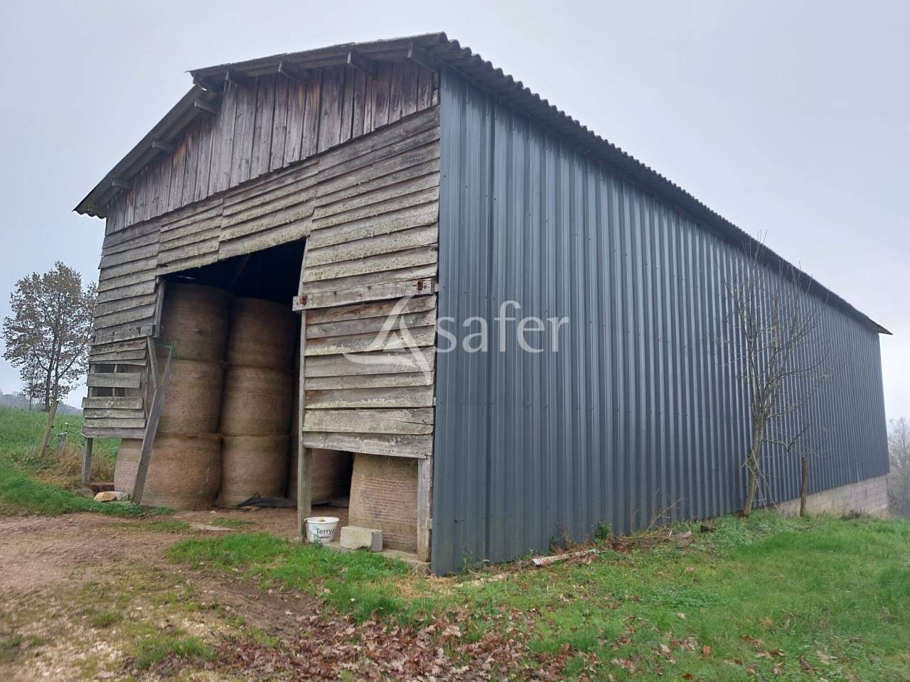 Exploitation d'&eacute;levage avec irrigation sur 75ha en vente et loc