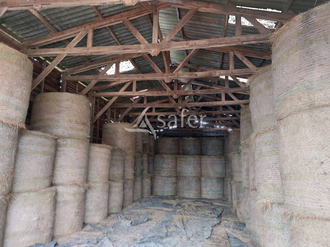 Exploitation d'&eacute;levage avec irrigation sur 75ha en vente et loc