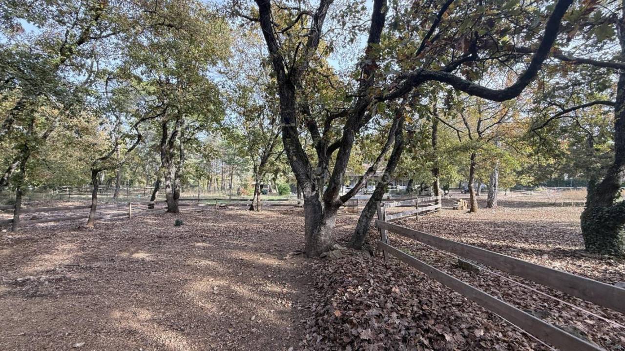 Jolie propriété équestre à l'ambiance ranch