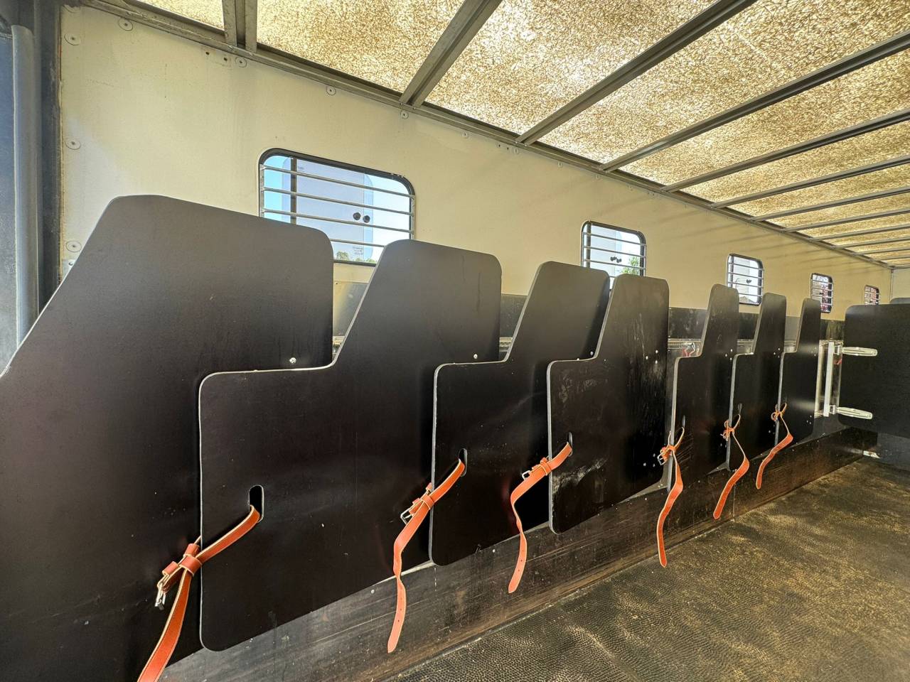 DAF &ndash; PL &ndash; 10 places chevaux 