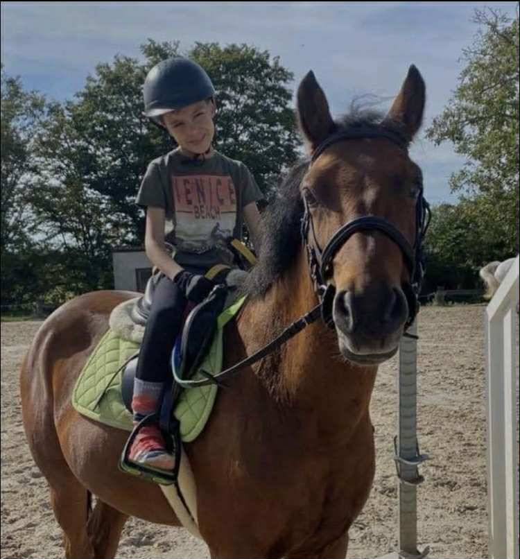 Poney sport à vendre 