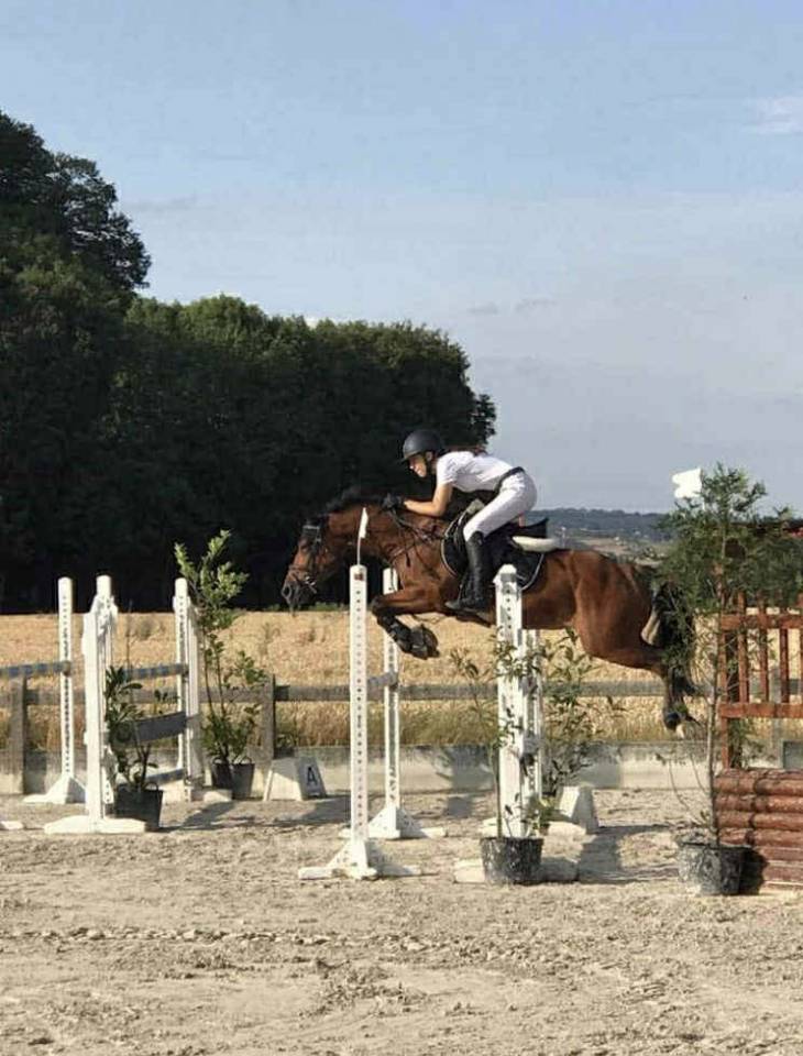 Poney sport à vendre 