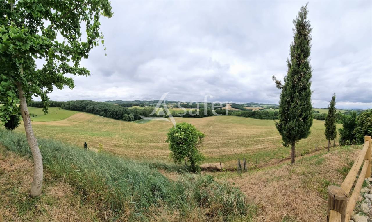 Corps de ferme id&eacute;al &eacute;levage et g&icirc;te 15ha de terres Lavaur