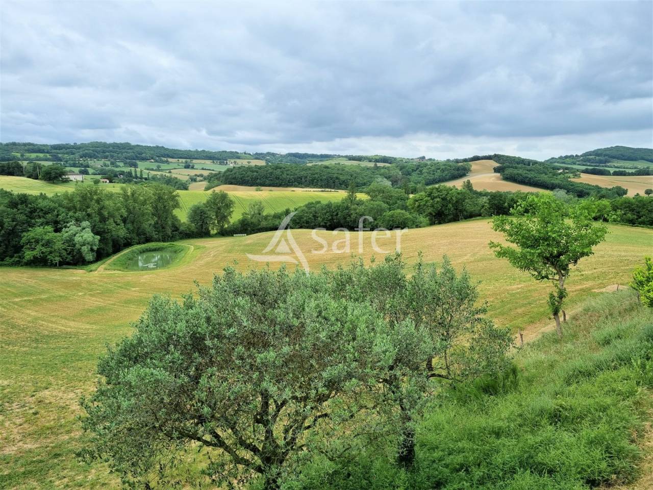 Corps de ferme id&eacute;al &eacute;levage et g&icirc;te 15ha de terres Lavaur