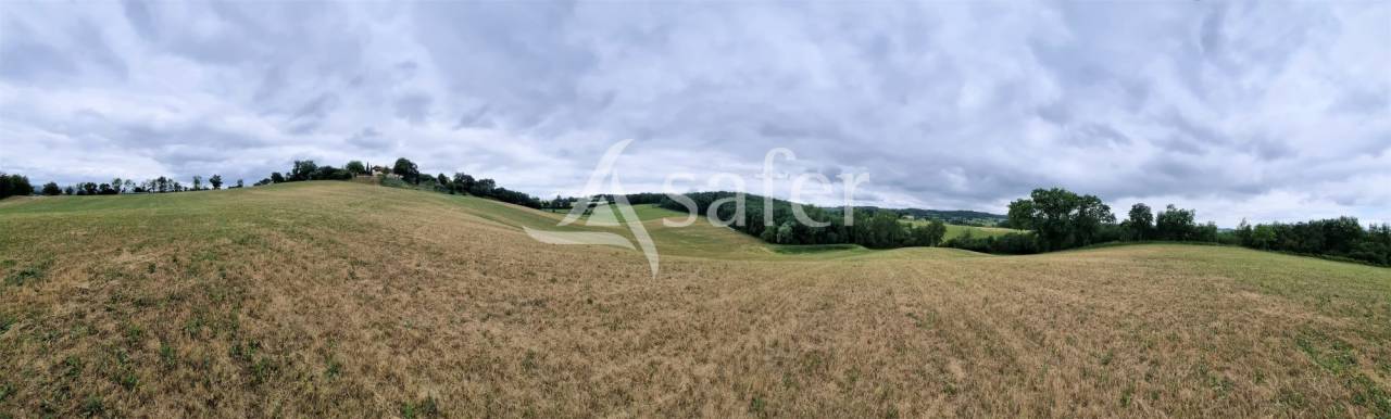Corps de ferme id&eacute;al &eacute;levage et g&icirc;te 15ha de terres Lavaur