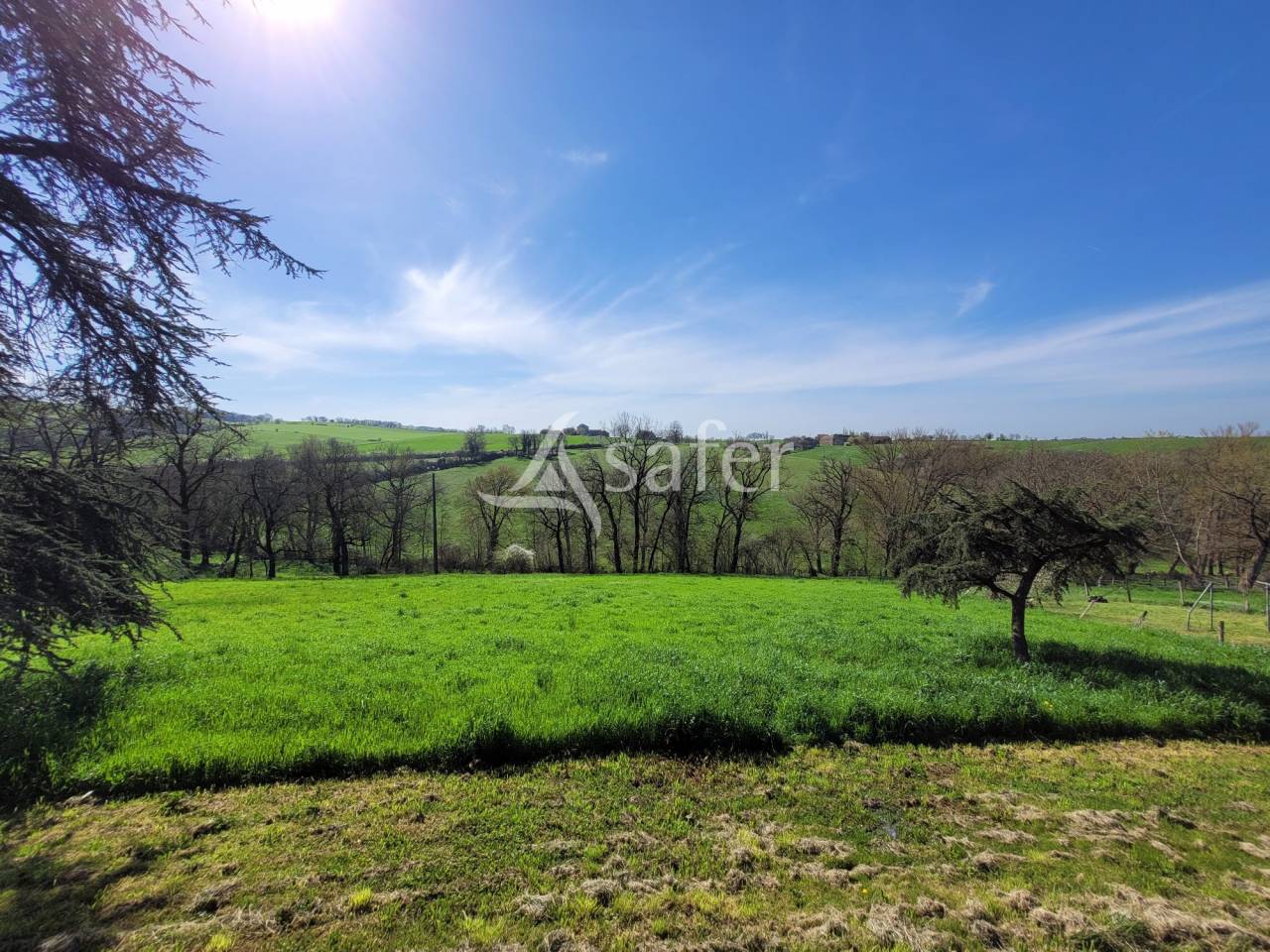 Corps de ferme 3ha50 Cordes-sur-Ciel Albi