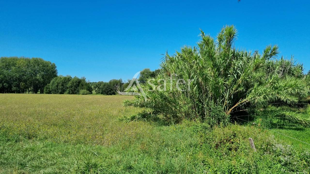 Exploitation agricole 20ha