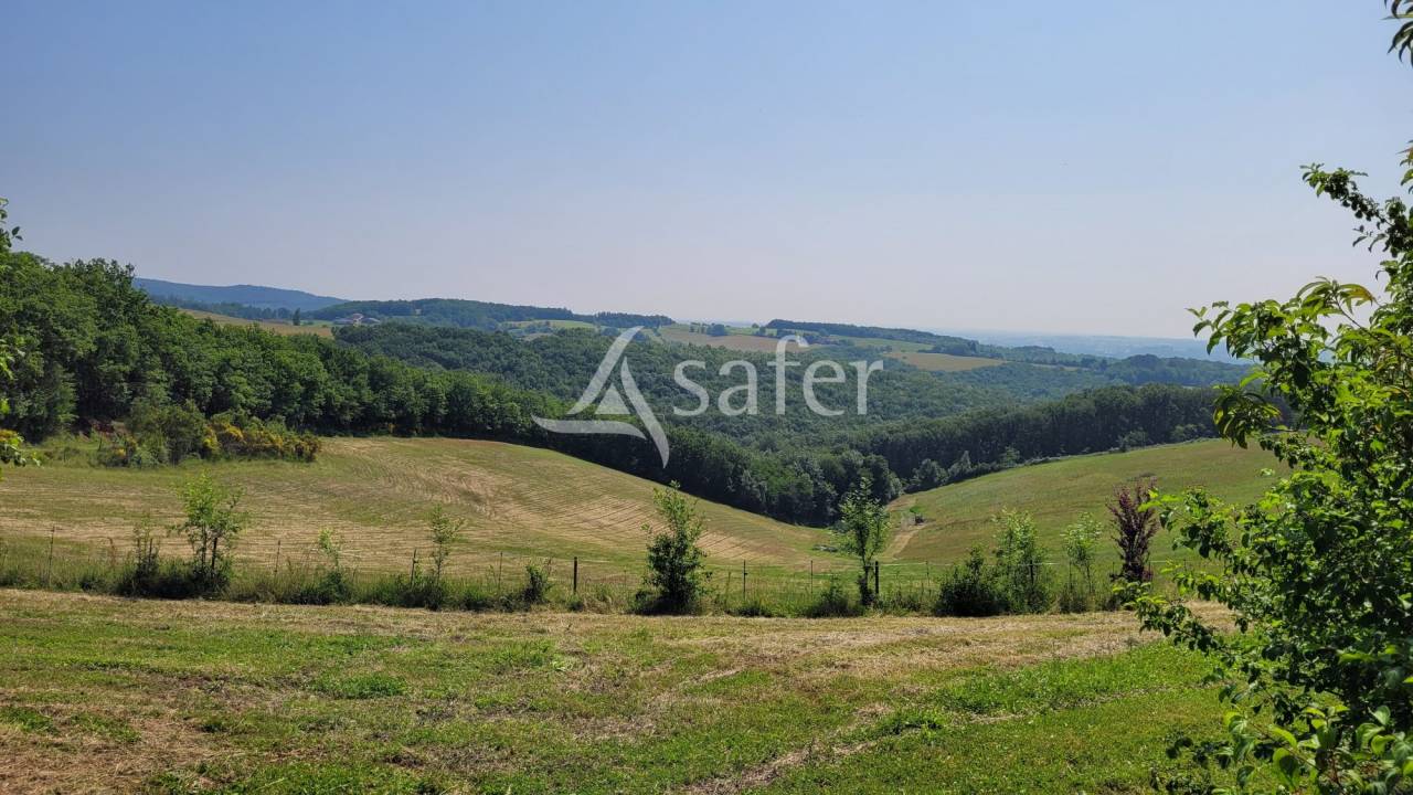 Exploitation agricole g&icirc;te 11ha Gaillac Albi Cordes sur Ciel