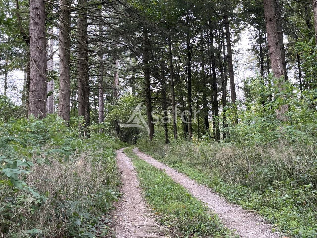 Demeure d'exception en pleine nature sur 4 ha