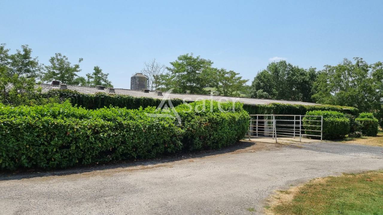 Exploitation agricole 6 ha de terres - Lavaur TARN