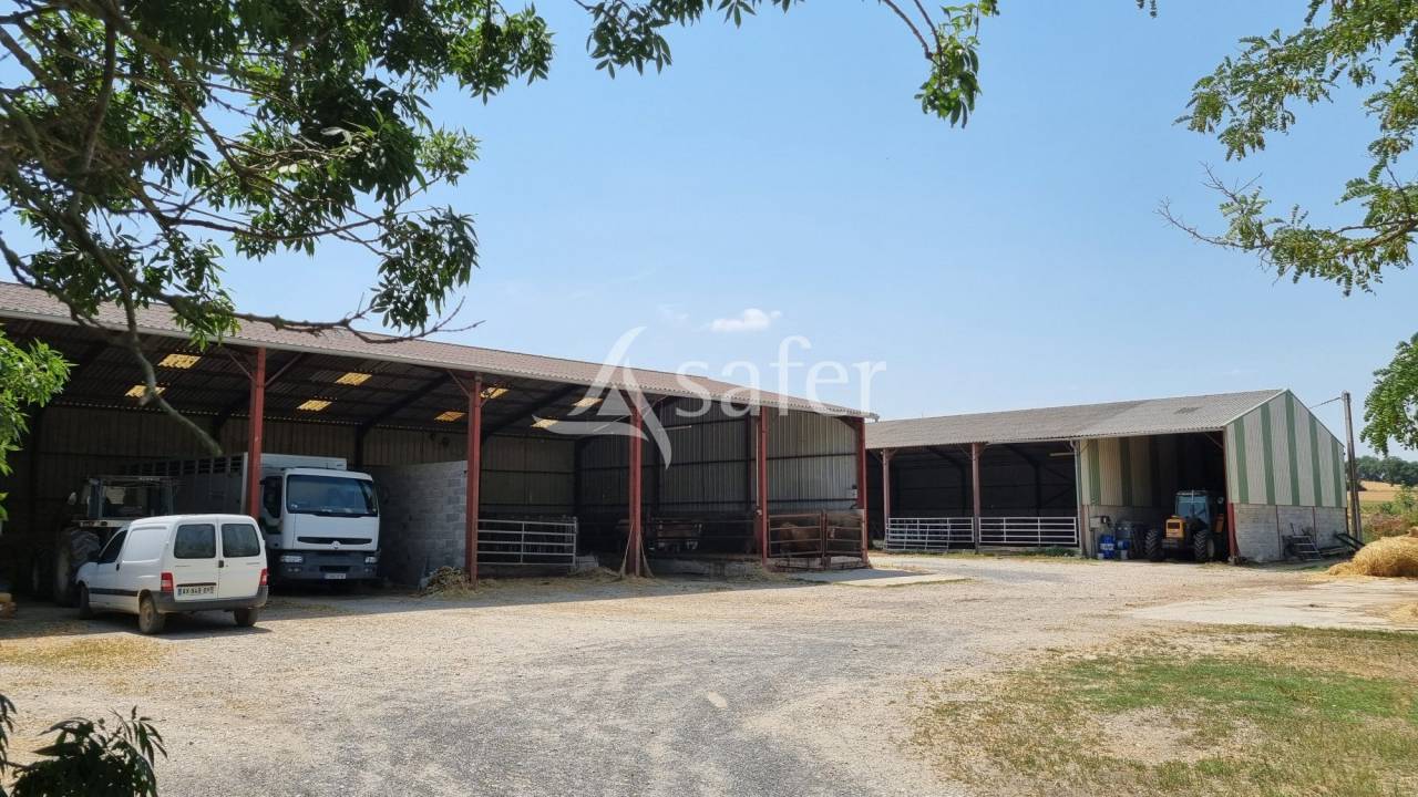 Exploitation agricole 6 ha de terres - Lavaur TARN