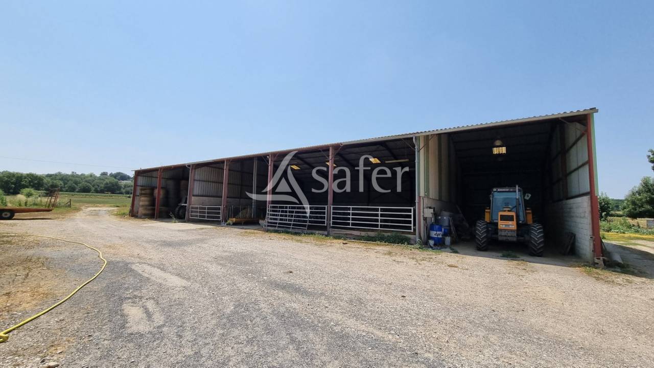 Exploitation agricole 6 ha de terres - Lavaur TARN