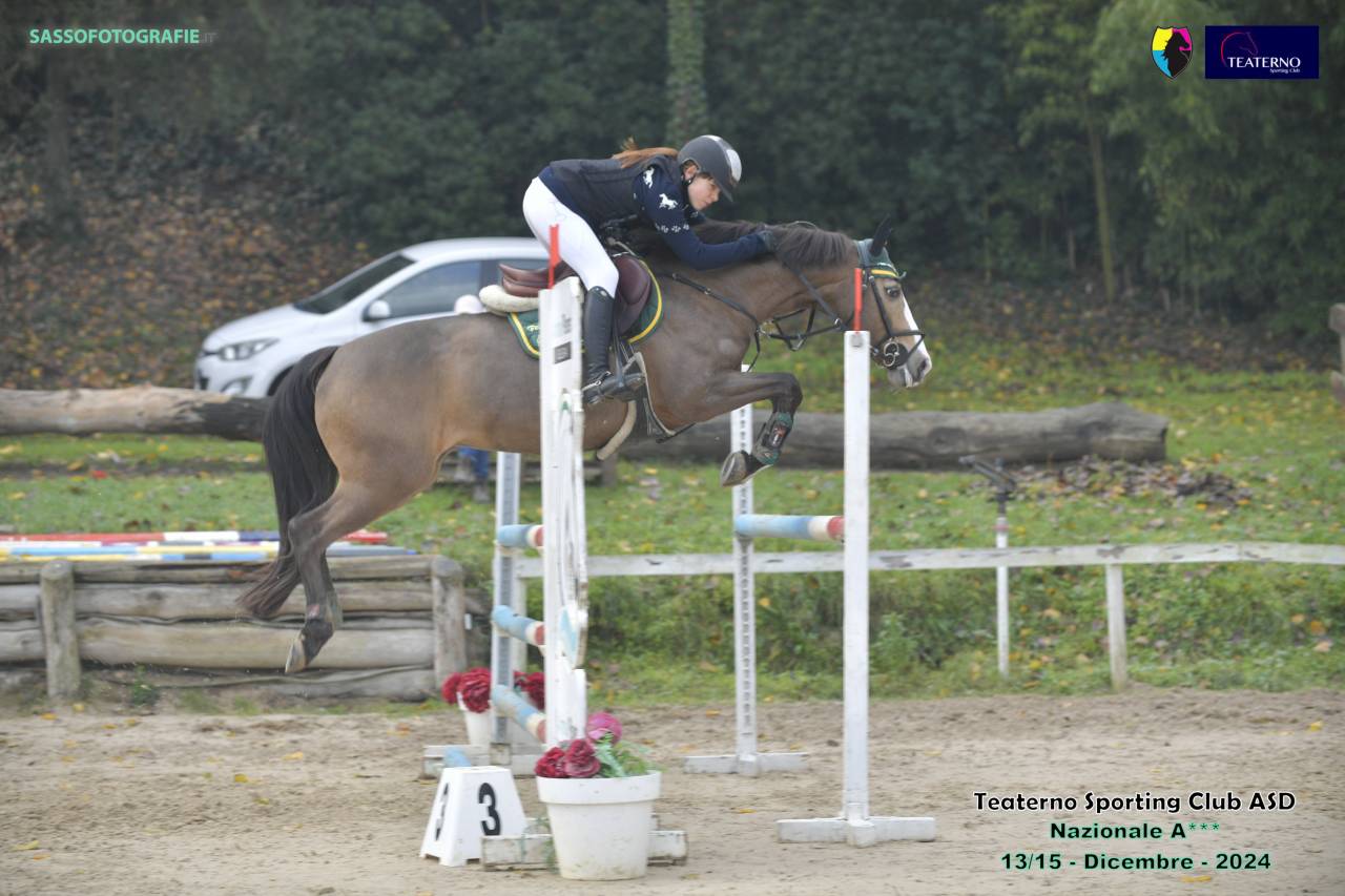 Poney incroyable!