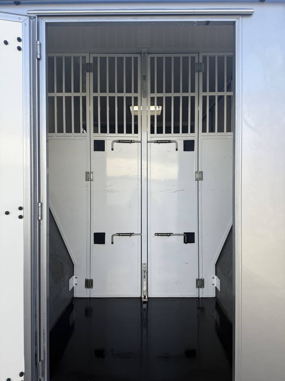 CAMION CHEVAUX VL 2 Places en stalle 