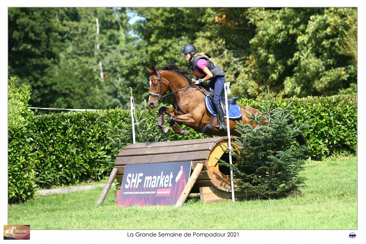 Cheval maitre d école 