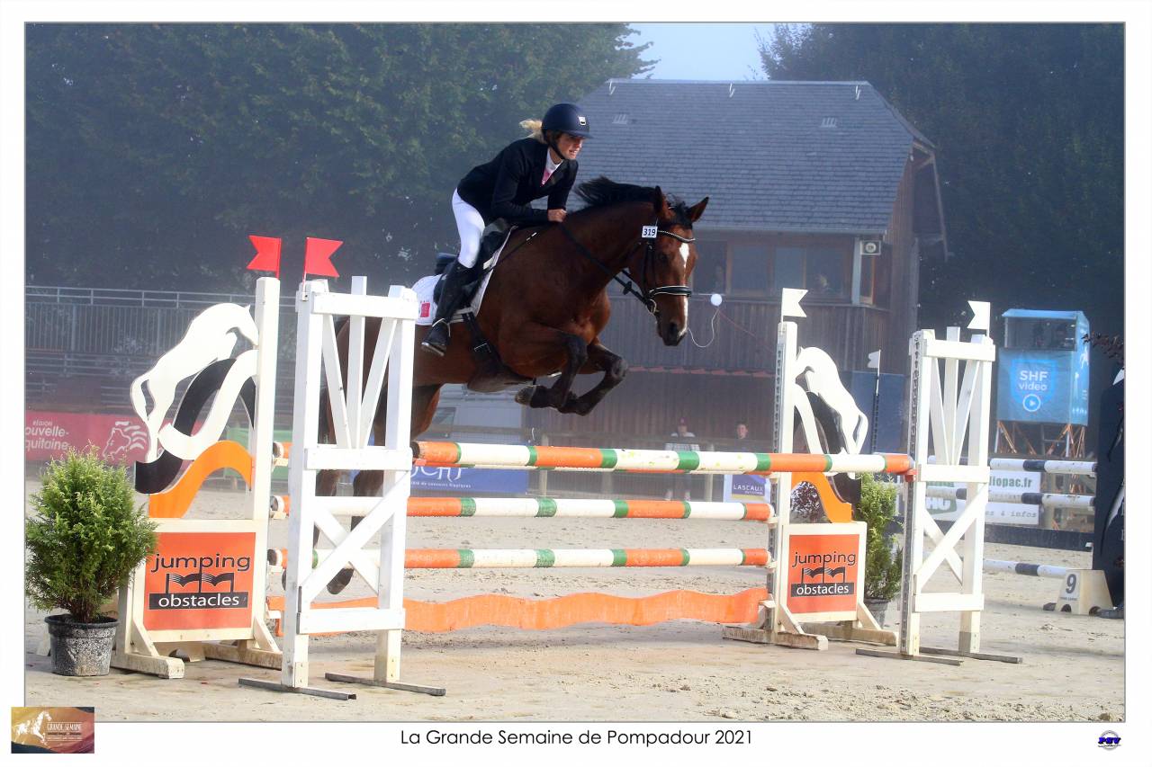 Cheval maitre d école 