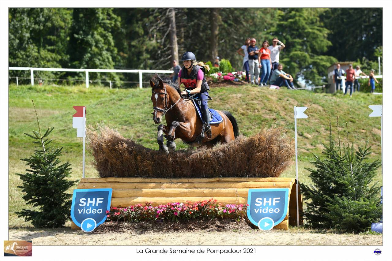 Cheval maitre d école 