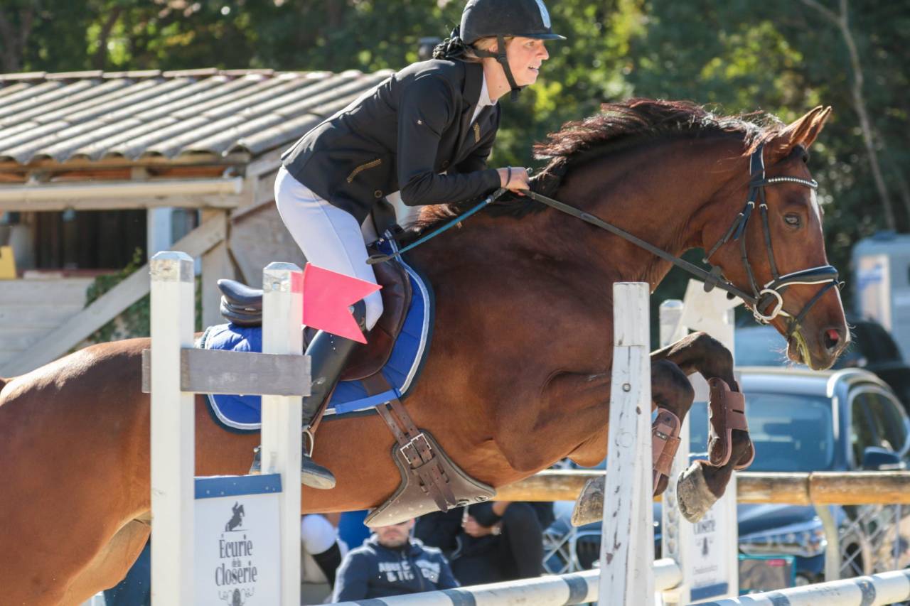 Cheval maitre d école 