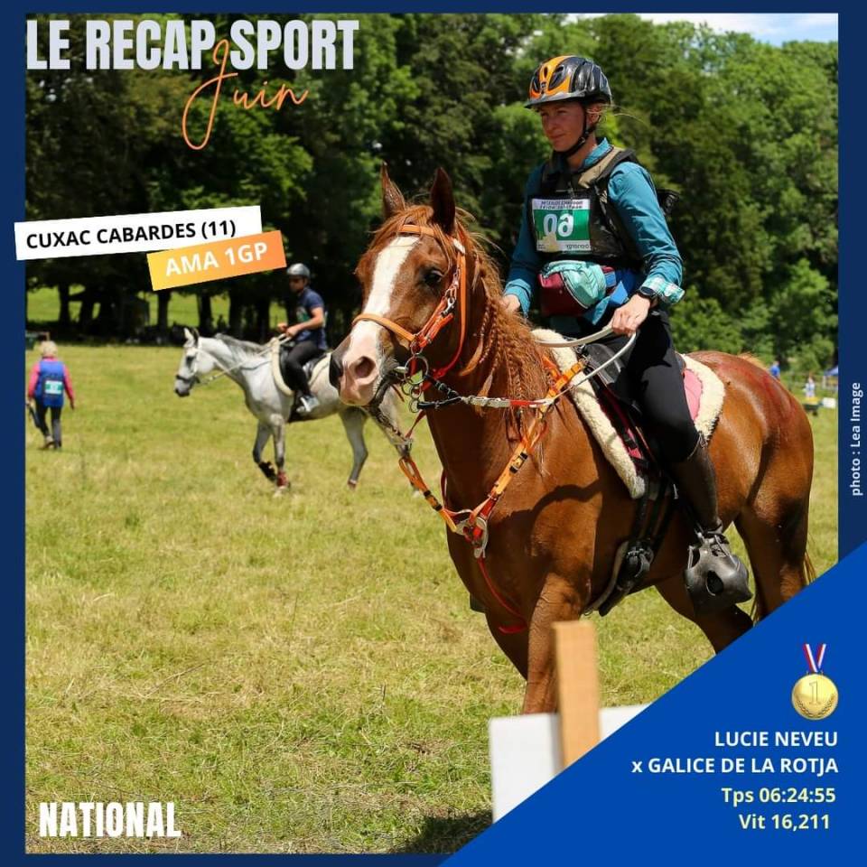 Jument pur sang arabe pour endurance 