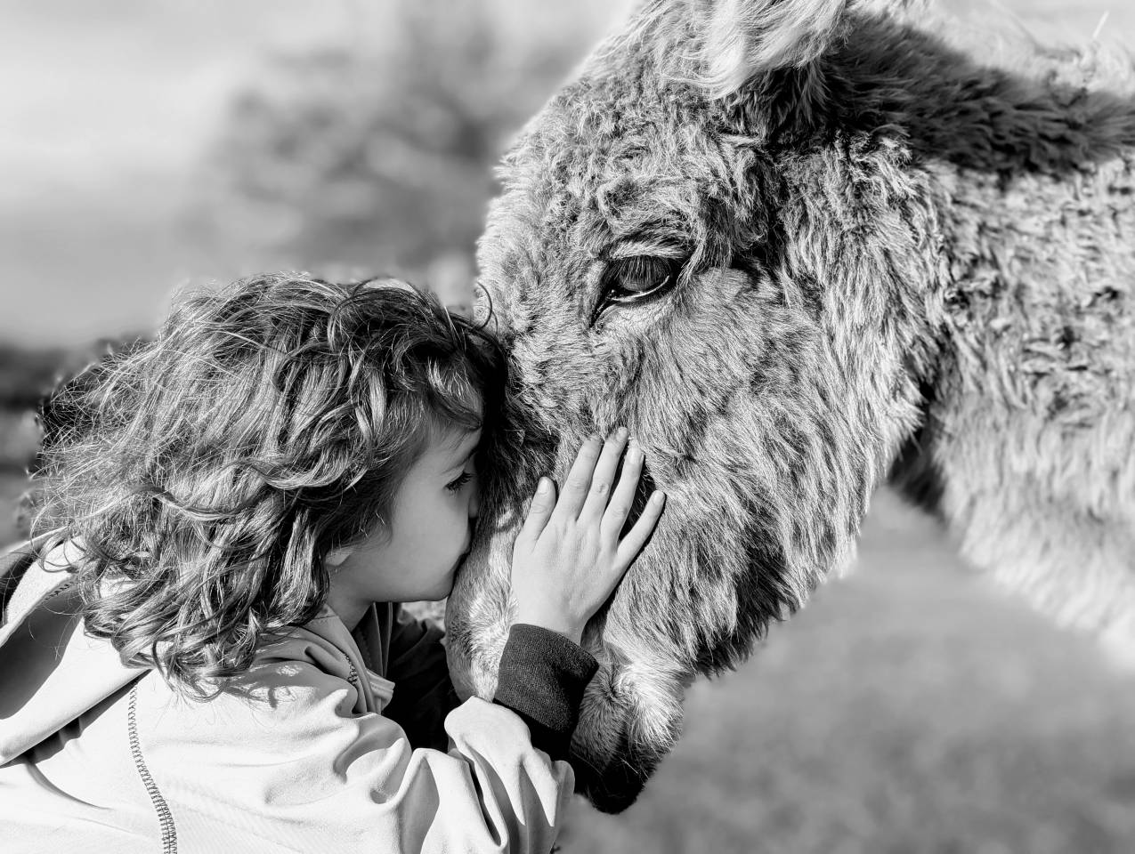 &Acirc;nes &acirc;nesses anons 