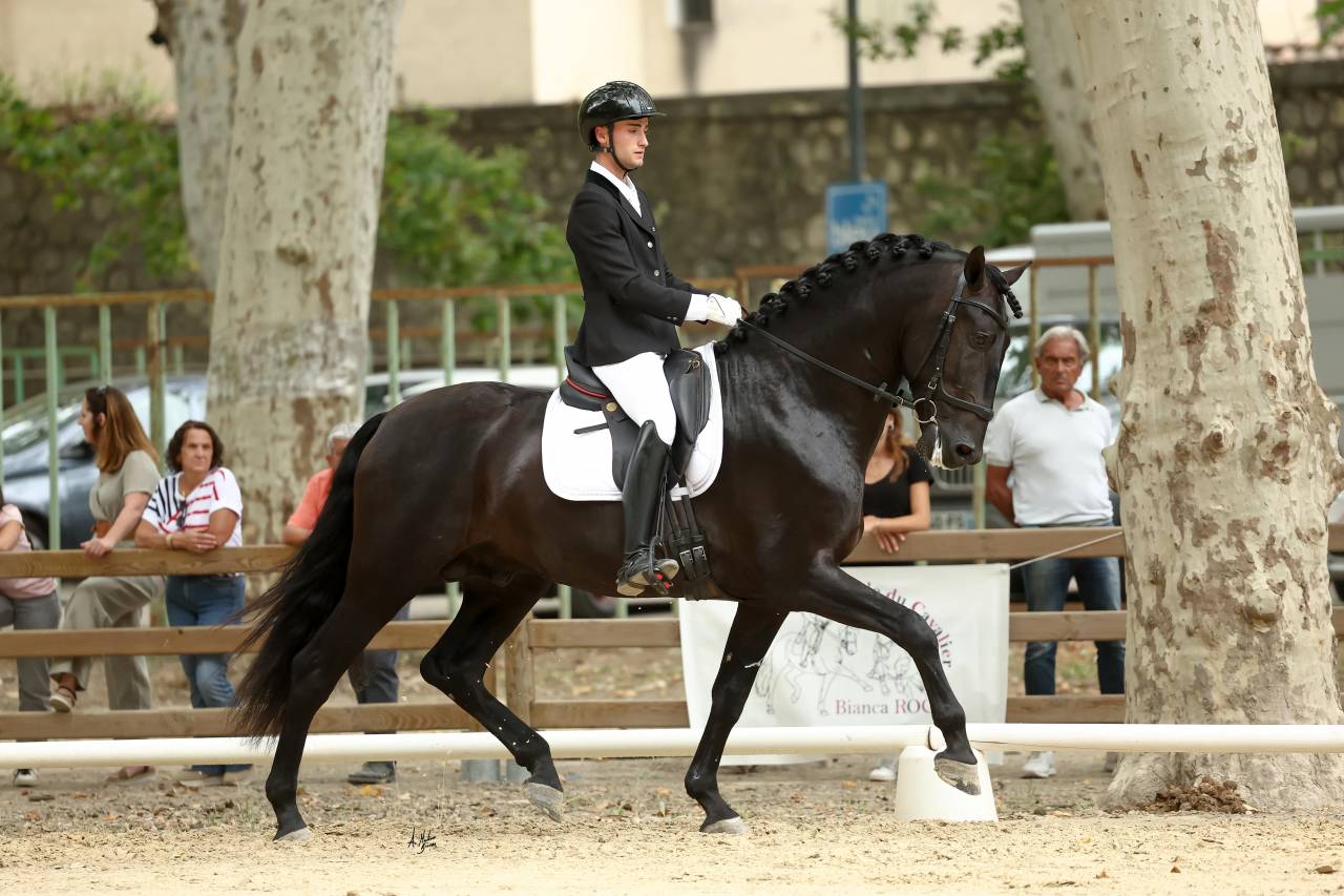 Offrez l'excellence à vos futures générations