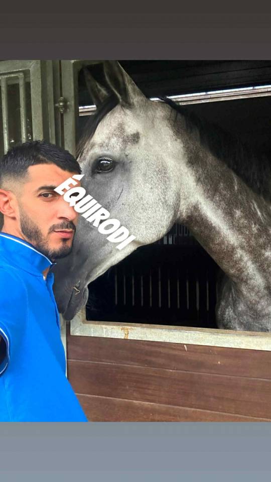 Sofien 37ans Palefrenier pour un poste log&eacute; 