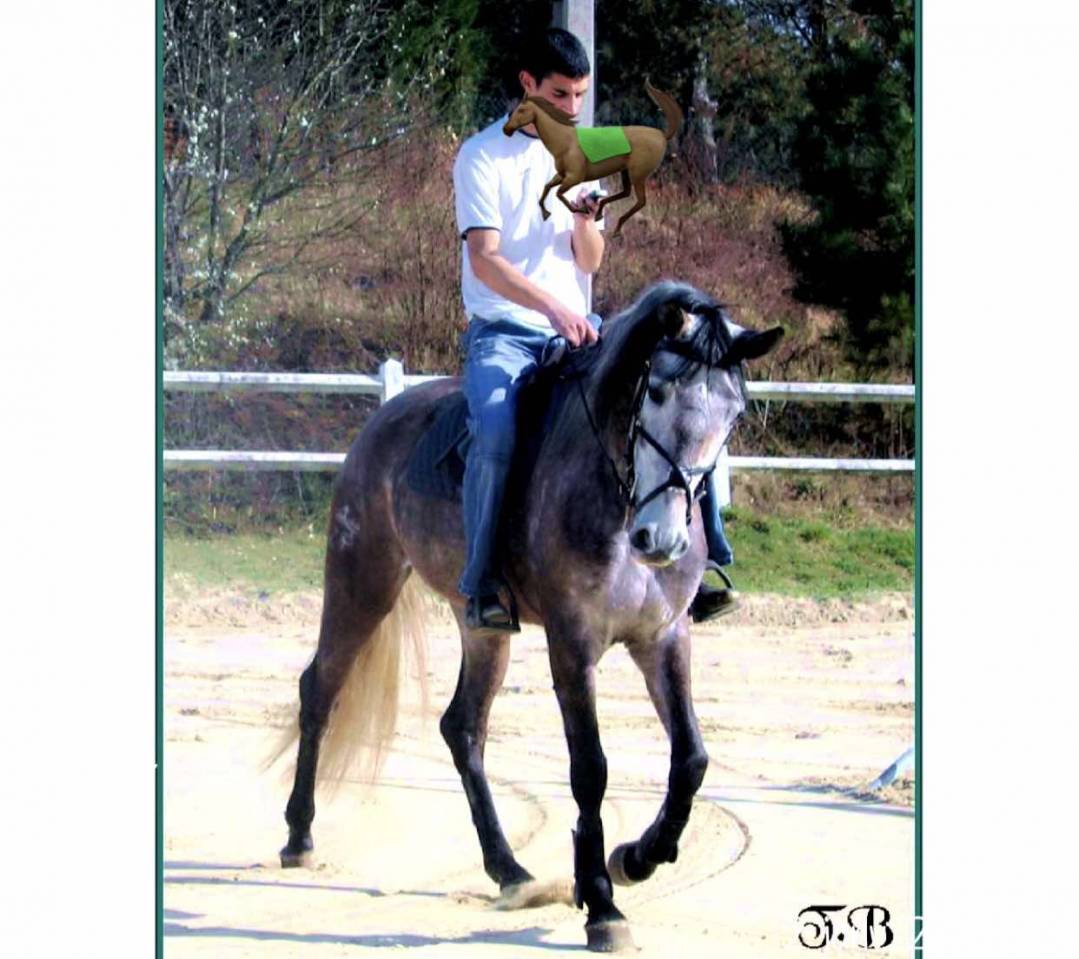 Sofien 37ans Palefrenier pour un poste log&eacute; 