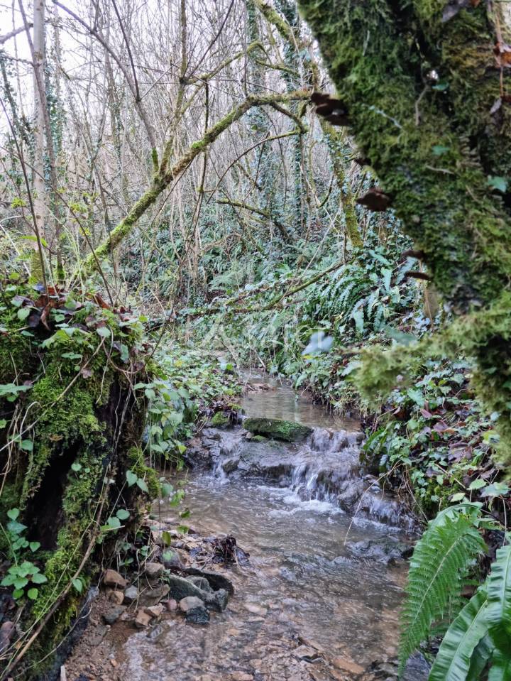 Propriété sur 4 ha en bordure du Lot, proche Figeac