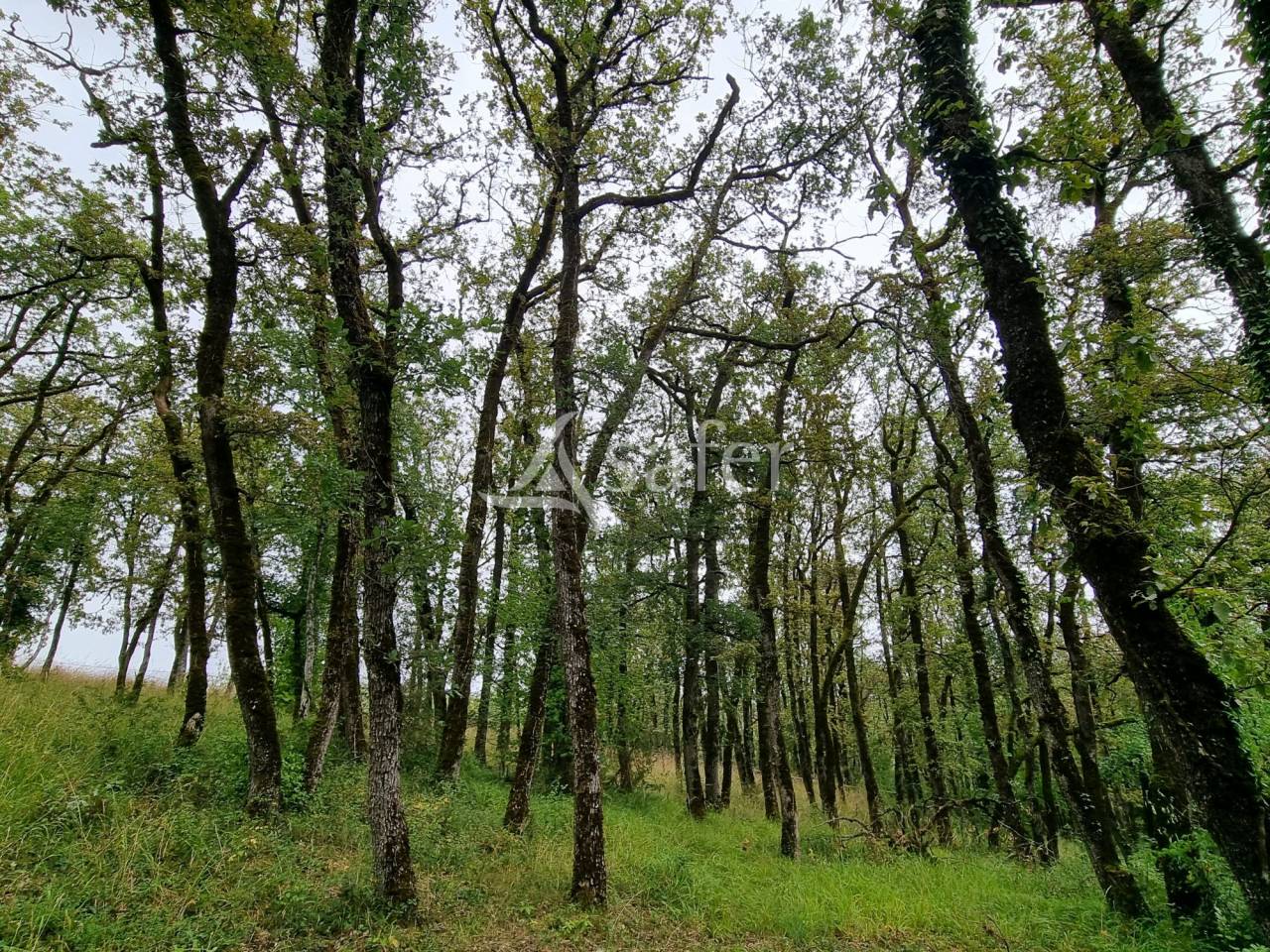 Corps de ferme sur 5 ha Ouest du Lot