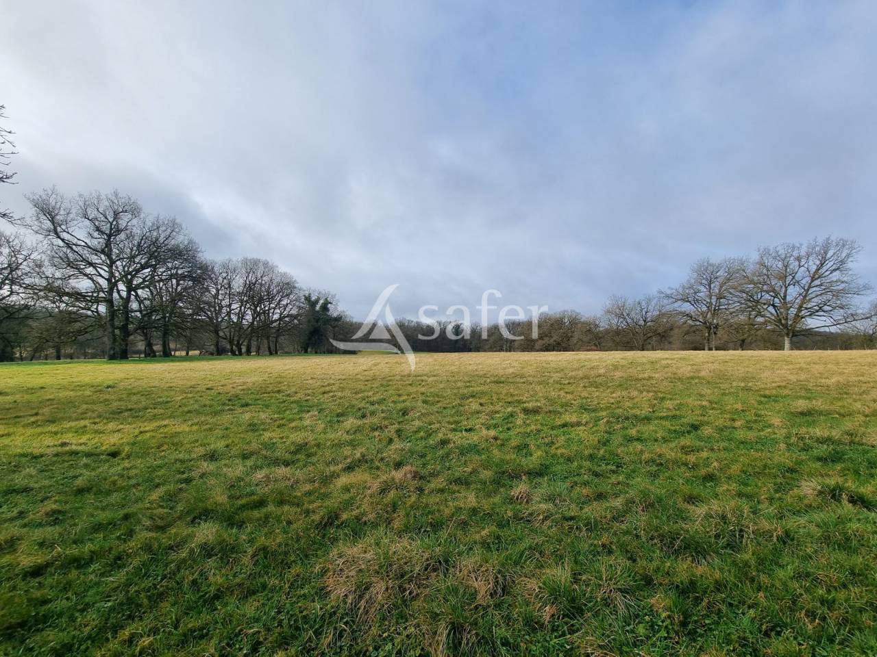 Exploitation d'&eacute;levage sur 40 ha dans le Limargue lotois