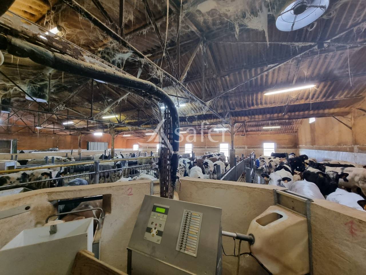 Exploitation d'&eacute;levage sur 40 ha dans le Limargue lotois