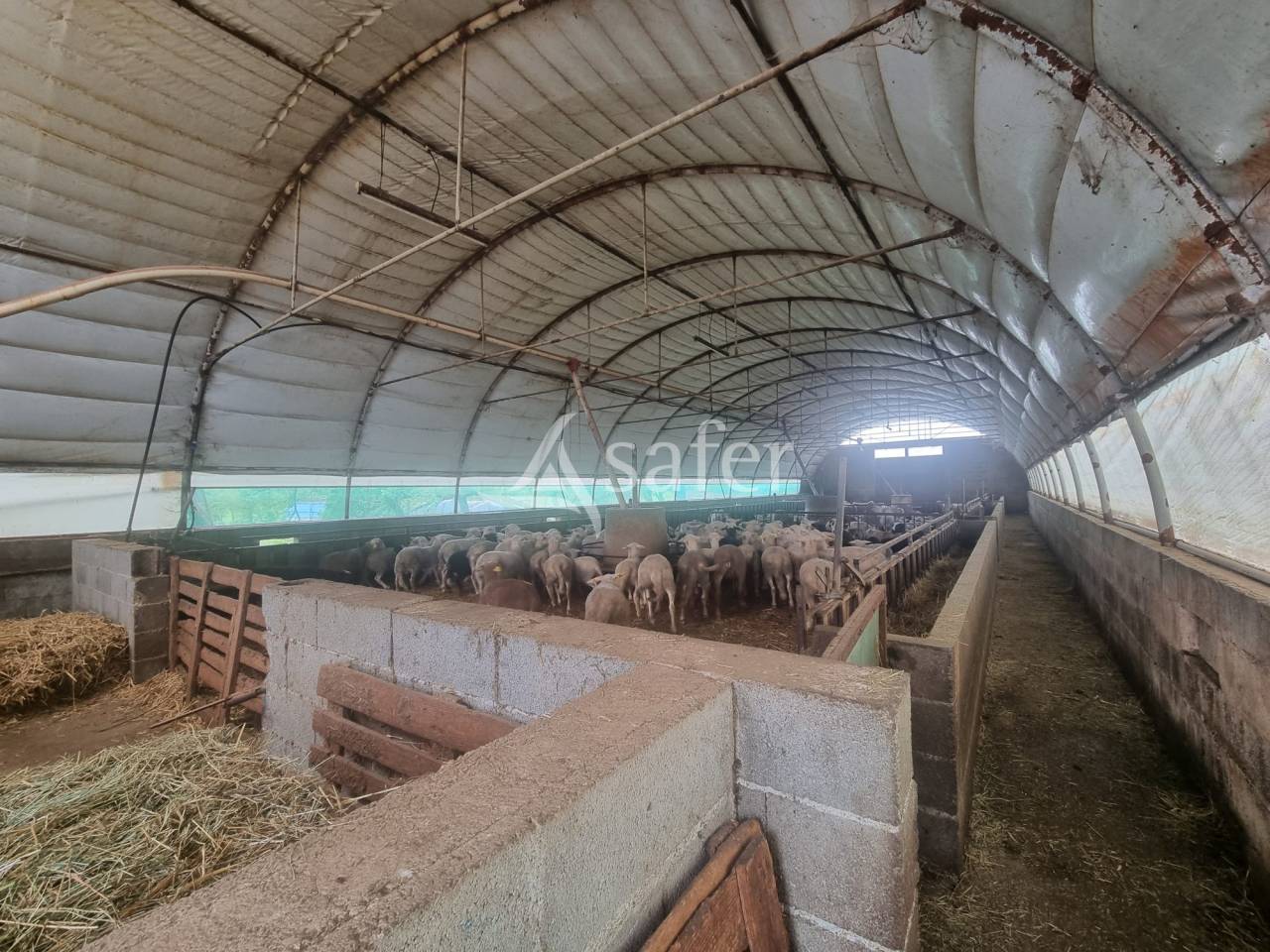 Exploitation d'&eacute;levage sur 40 ha dans le Limargue lotois