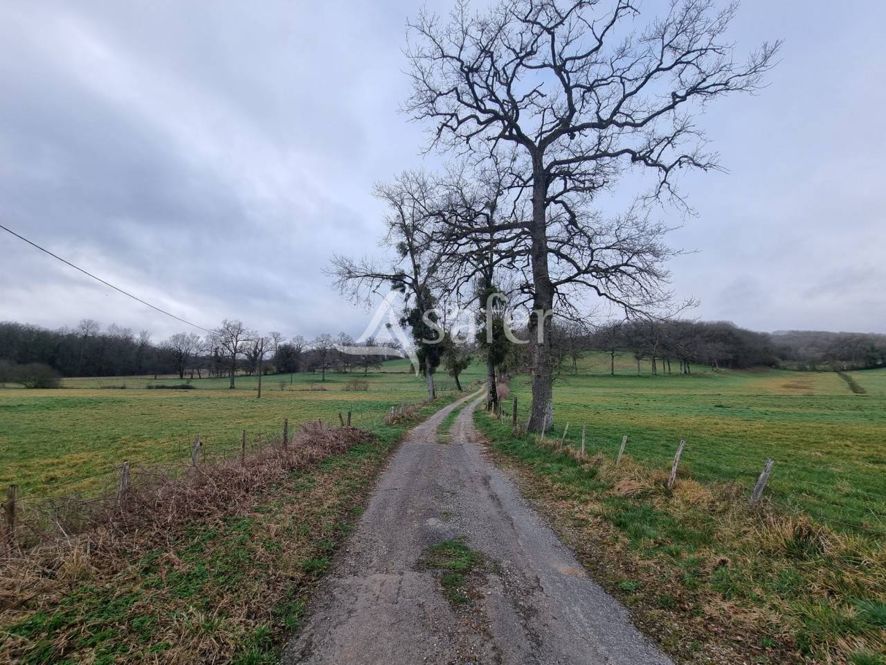 Exploitation d'&eacute;levage sur 40 ha dans le Limargue lotois