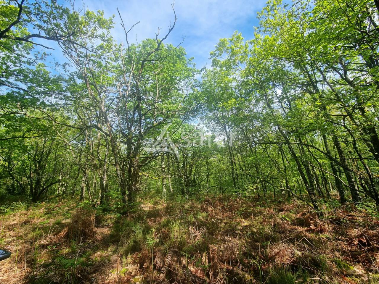 Exploitation d'&eacute;levage sur 40 ha dans le Limargue lotois