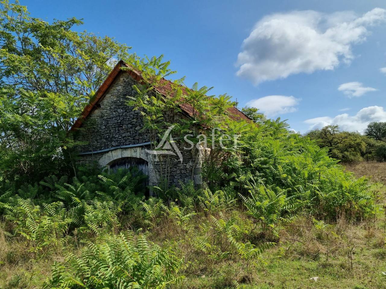 Exploitation ovine sur 220 ha Parc Naturel des Causses du Quercy