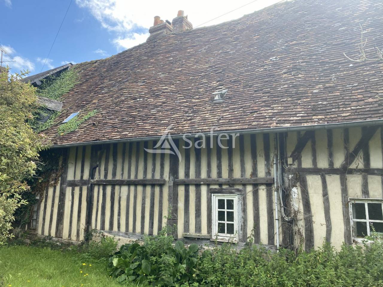 Exploitation herbag&egrave;re Pays d'Auge