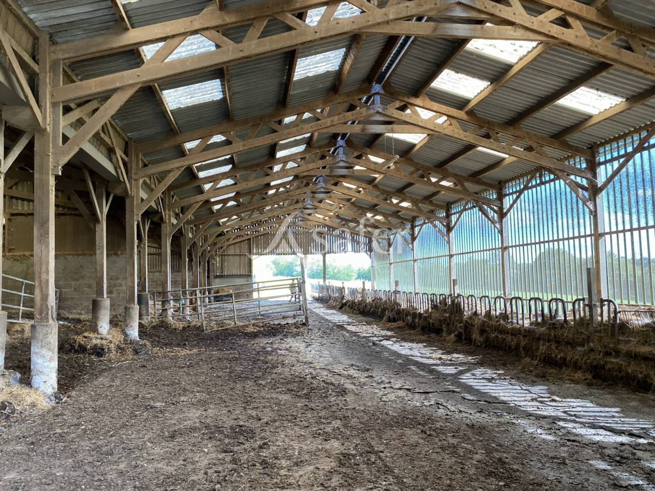 Exploitation herbag&egrave;re Pays d'Auge