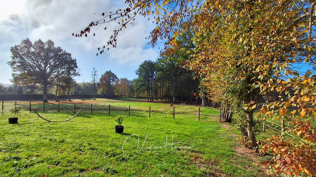 Jolie maison sur 2.40 ha de pâture proche Falaise.