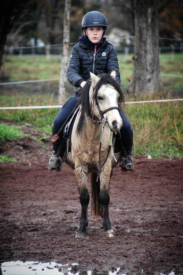 Super hongre polyvalent 