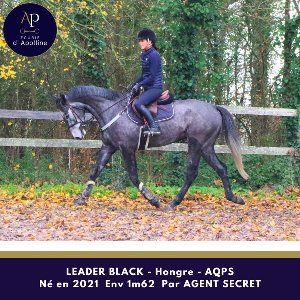 AQPS 4 ans locomotion plaisante mod&egrave;le plaisant